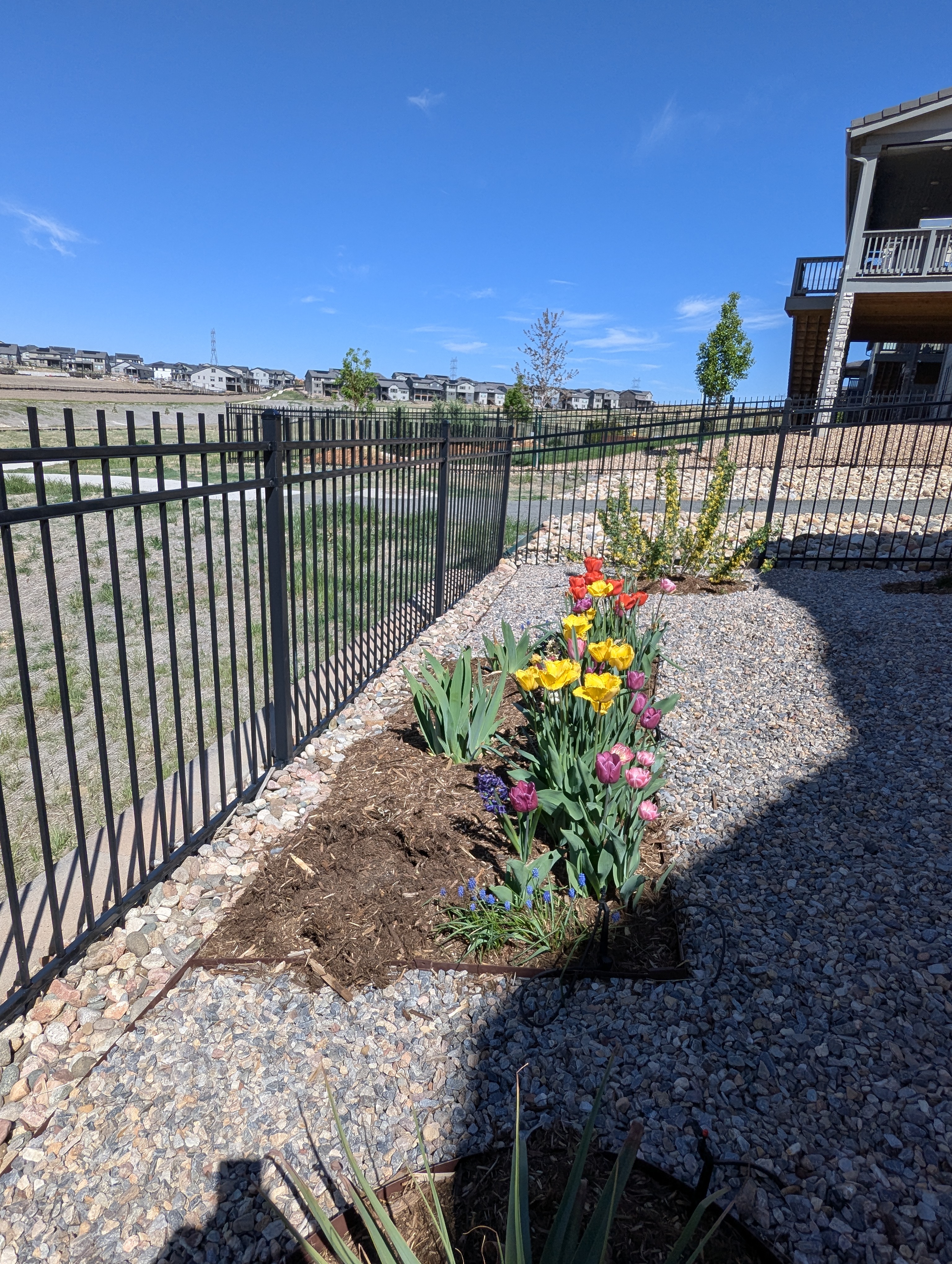 Garden, Flowers, Morrison, Colorado
